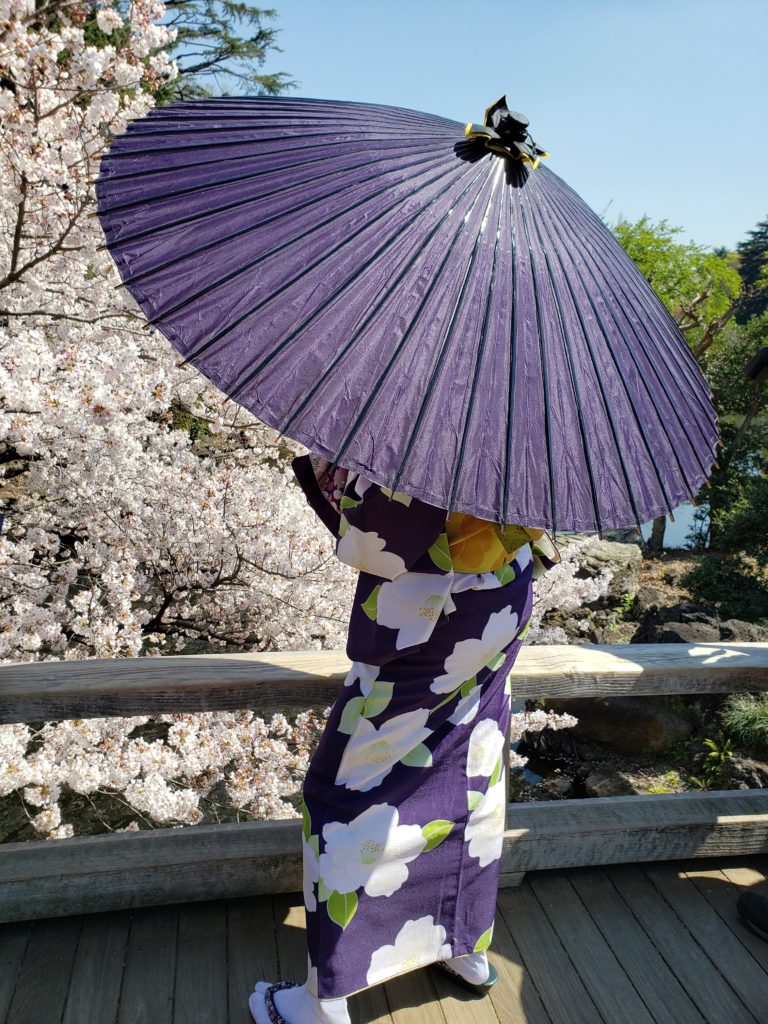 O Dia do Ofurô das Capivaras no Japão - Cultura Japonesa