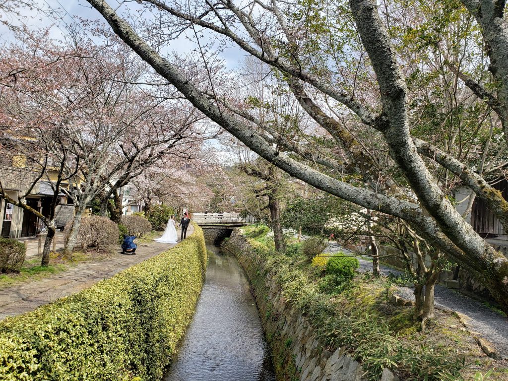 Caminho do Filósofo Kyoto