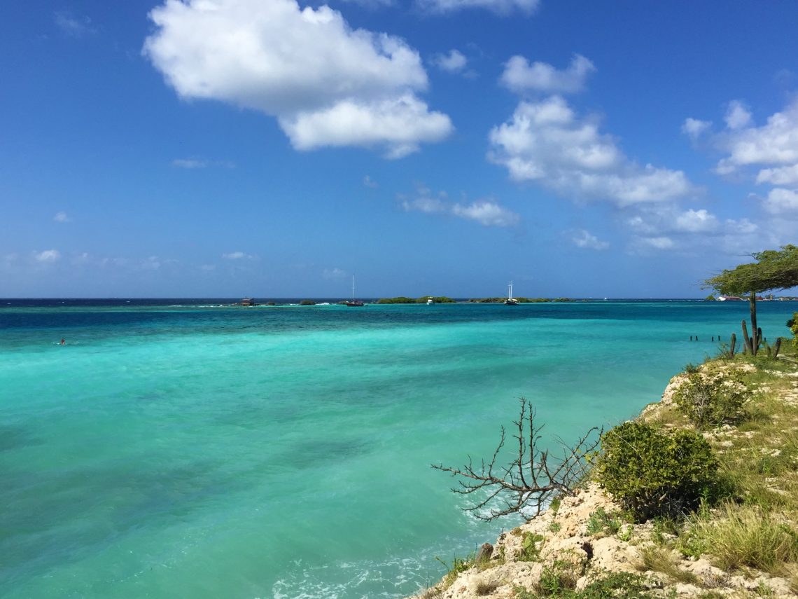 Mangel Halto - Aruba