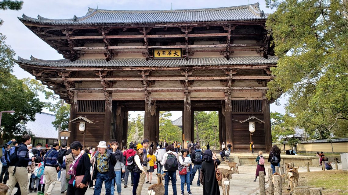 Nara: um passeio entre templos e veadinhos