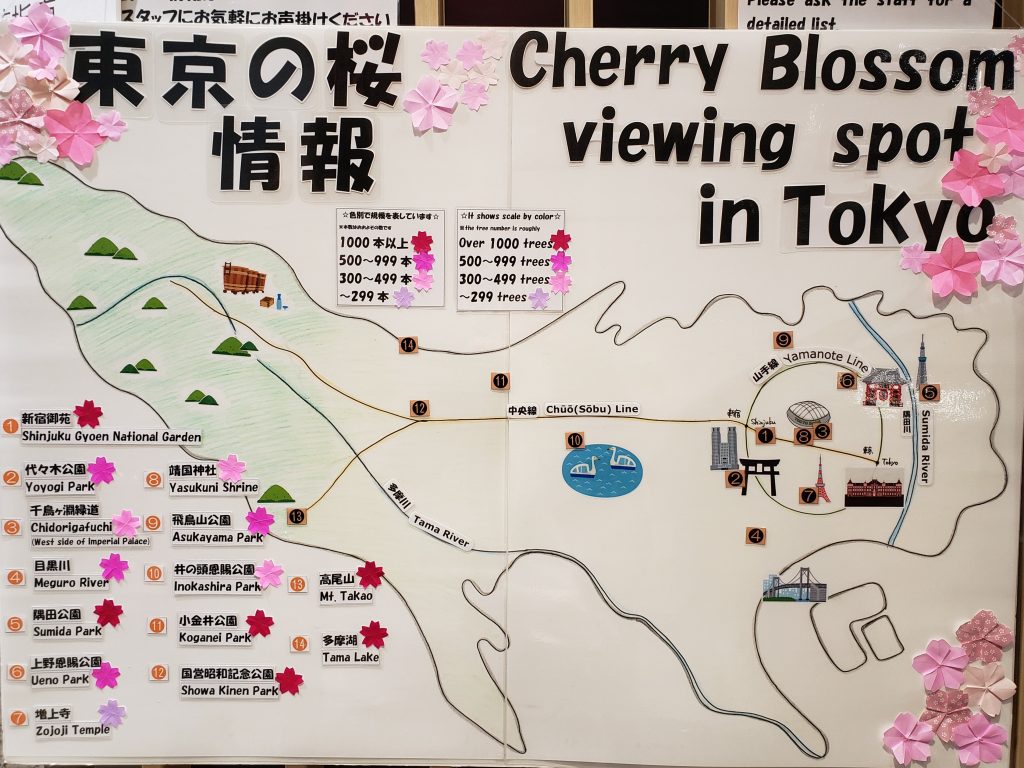 Mapa cerejeiras Tóquio