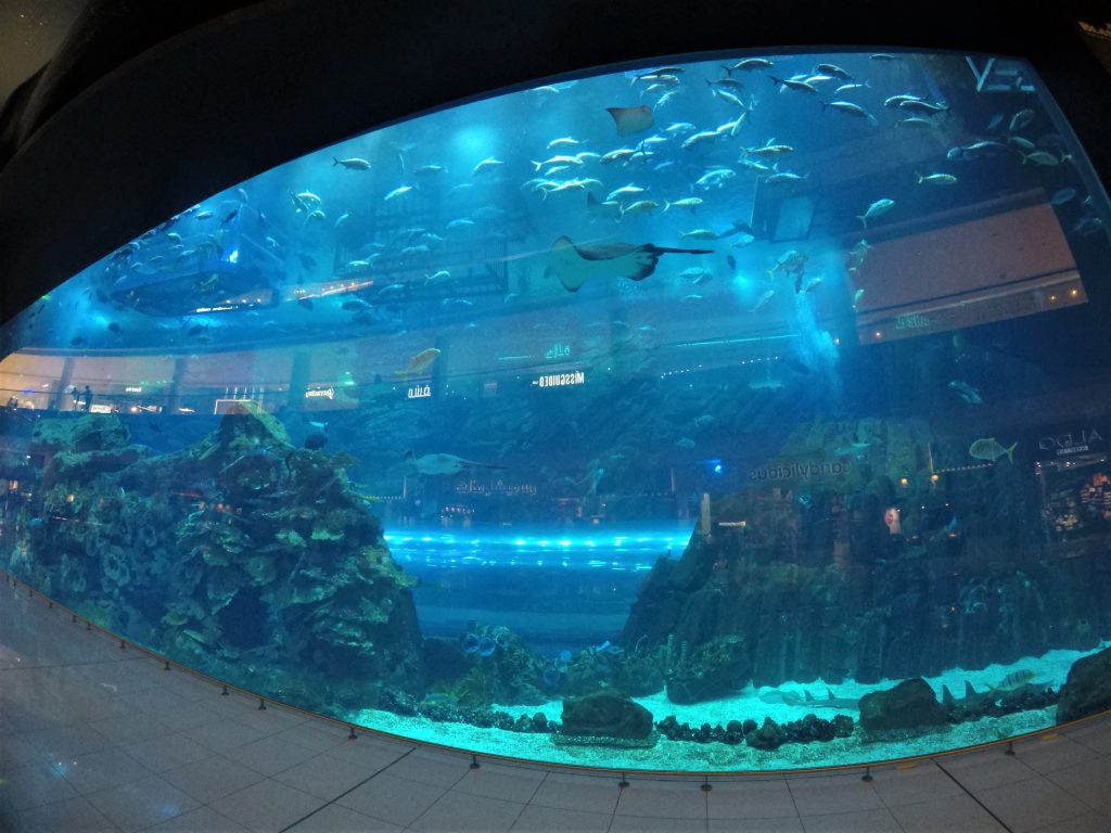 DUbai Aquarium
