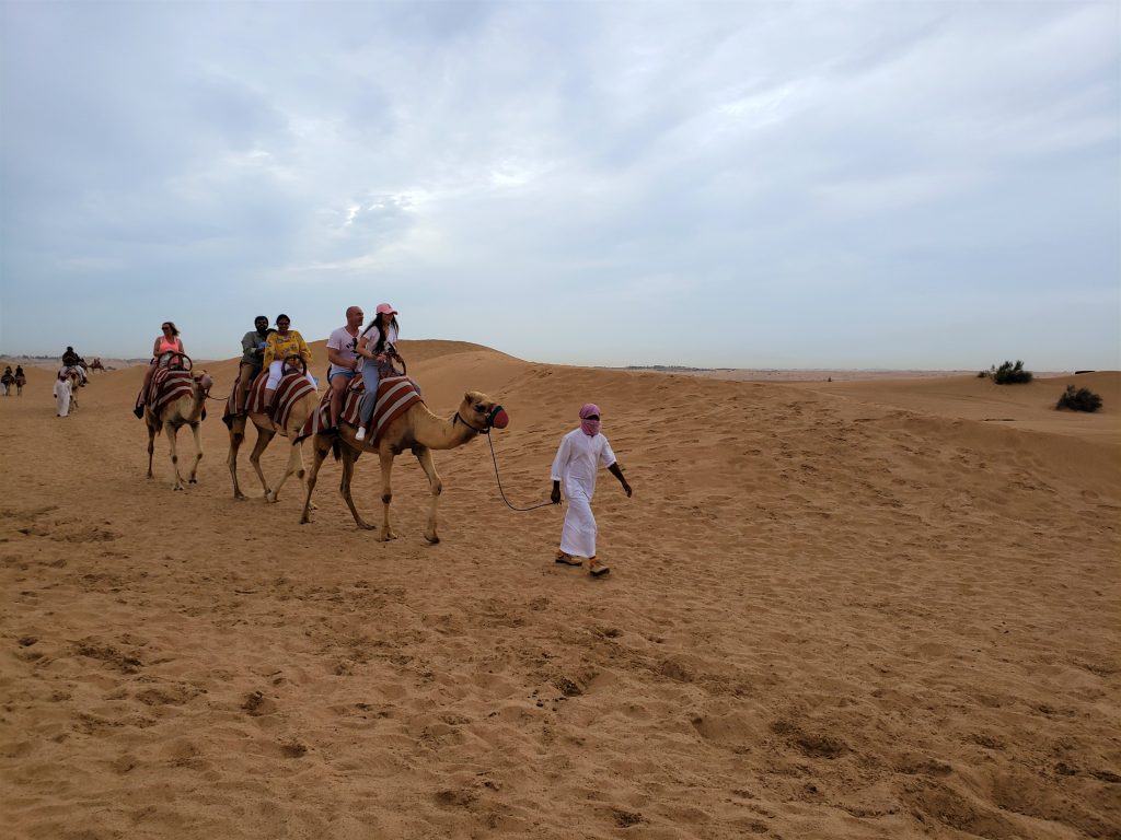 Passeio de camelo Dubai
