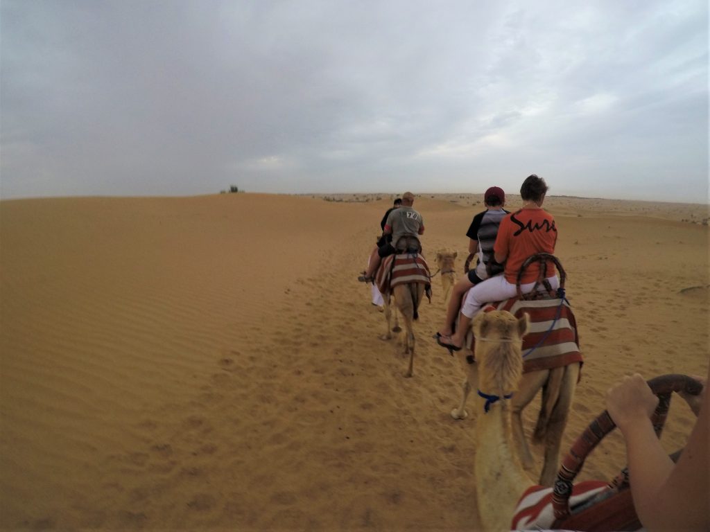 Passeio de camelo Dubaii