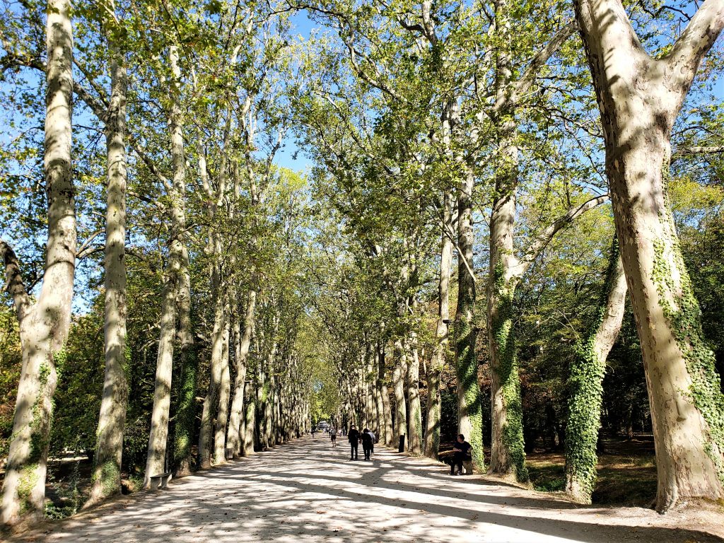 Chenonceau chegada