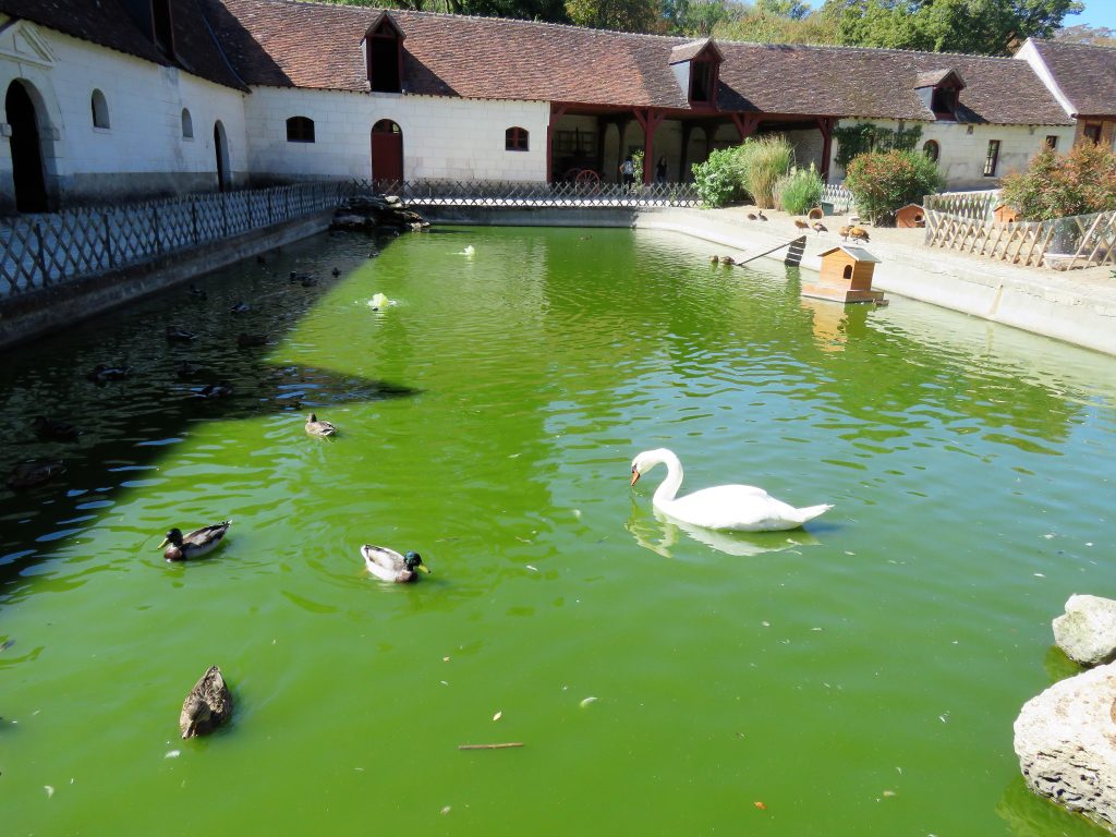 Chenonceau fazenda