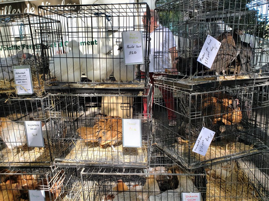 Marché d'Amboise