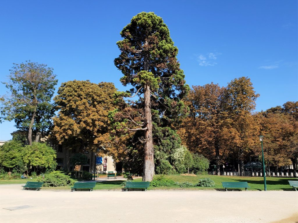 Jardin de Champs-Élysées