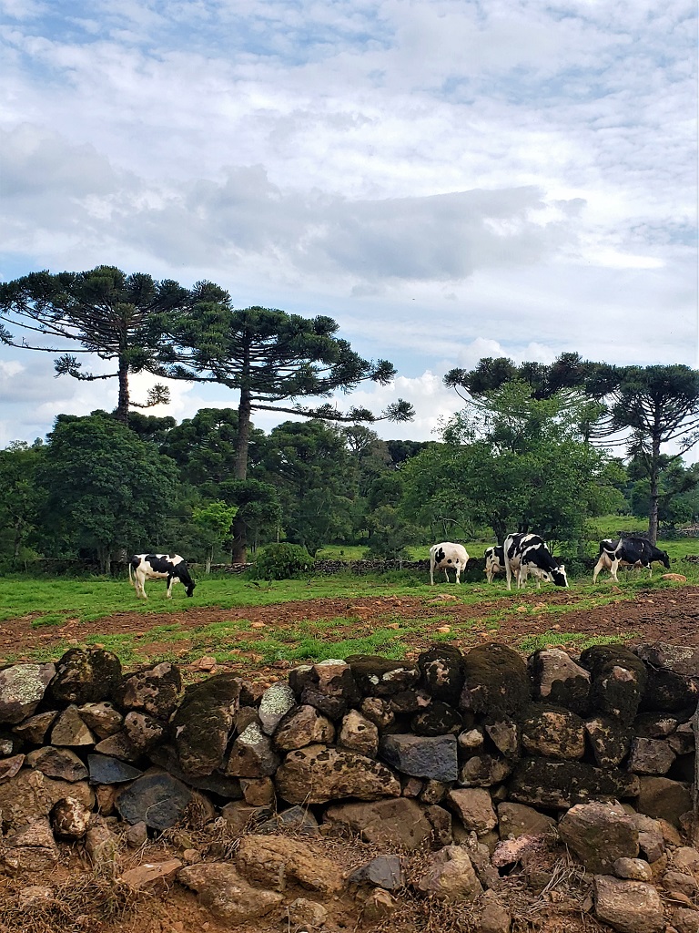 Área rural