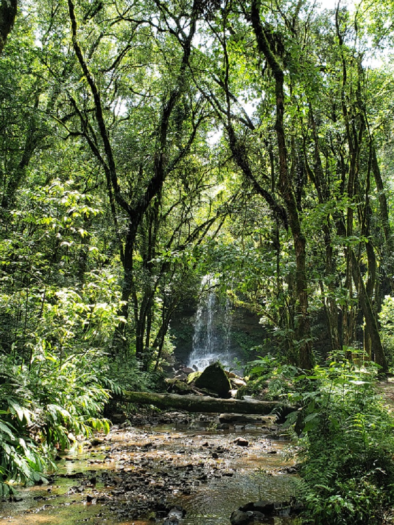 Cascata dos Bugres 