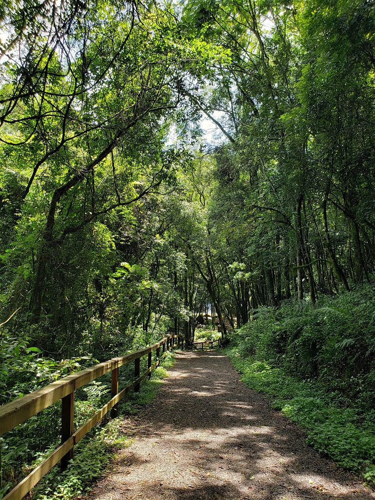 Trilha cascata