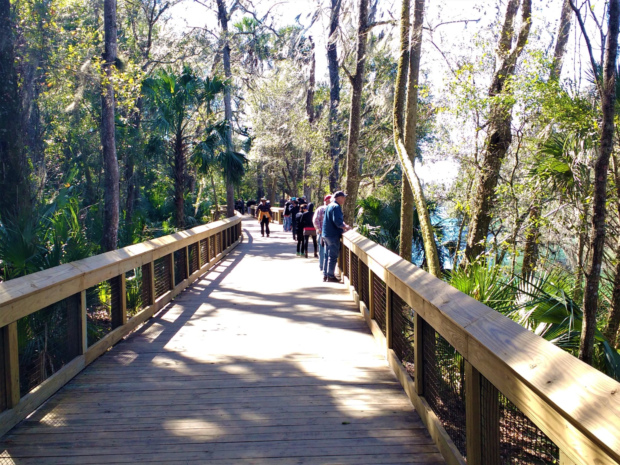 O Que Fazer Em Orlando Fora Dos Parques