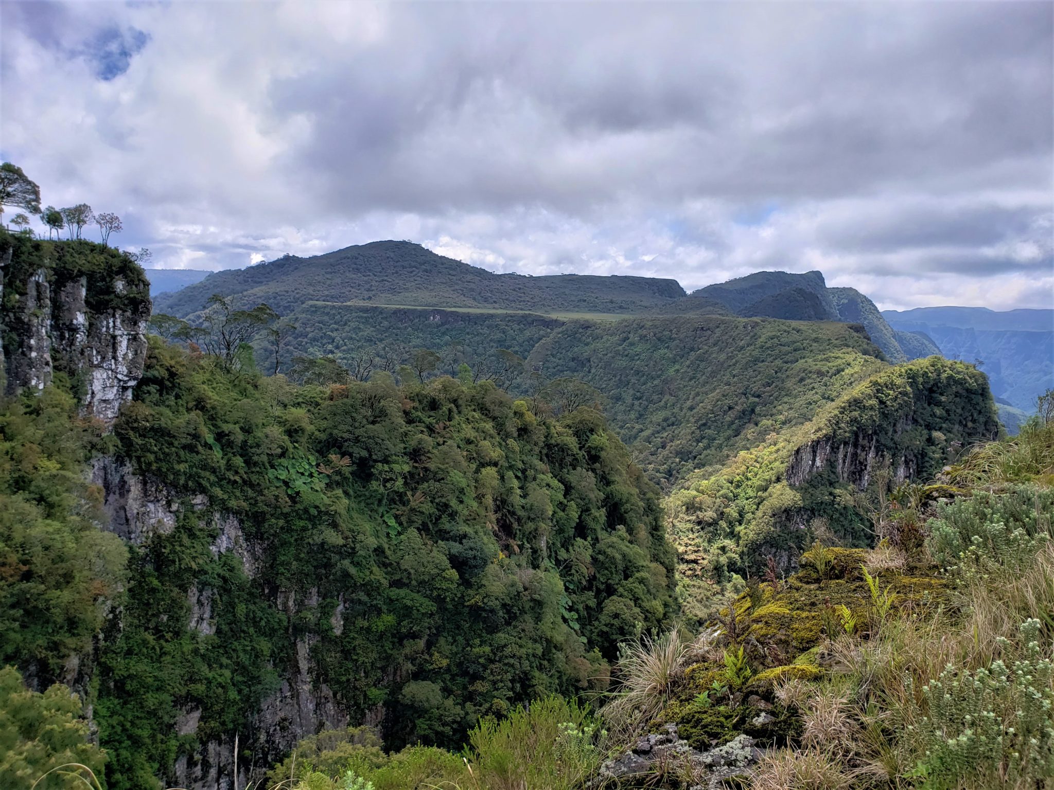 Serra Do Corvo Branco Curvas E Mirantes De Tirar O Fôlego Passagem Comprada 4530