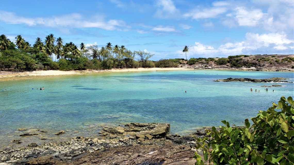 Ilha de Santo Aleixo: tudo sobre esse paraíso