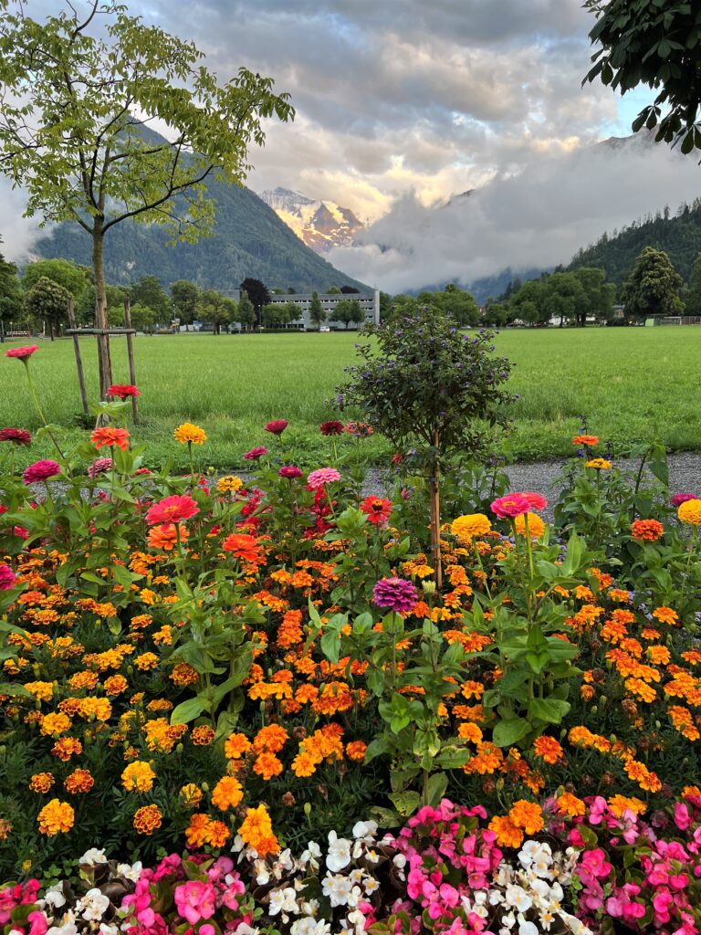 Höhematte Interlaken