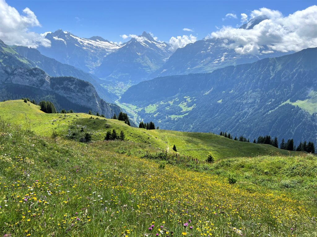 Paisagem alpina na SUíça