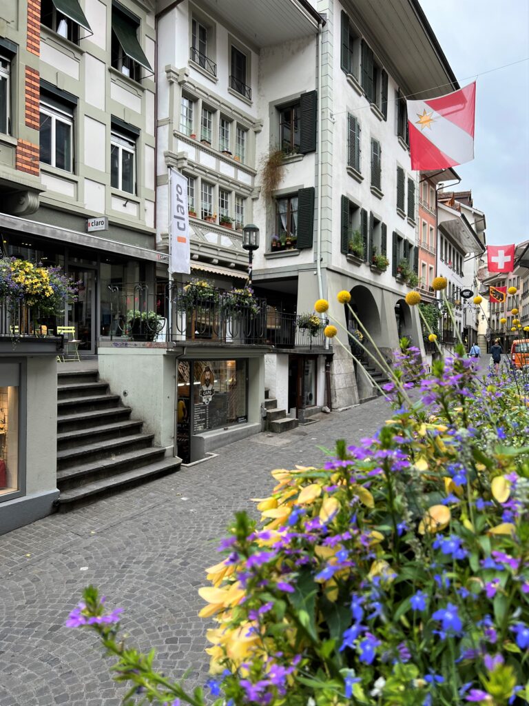 Passeio no Lago de Thun 2