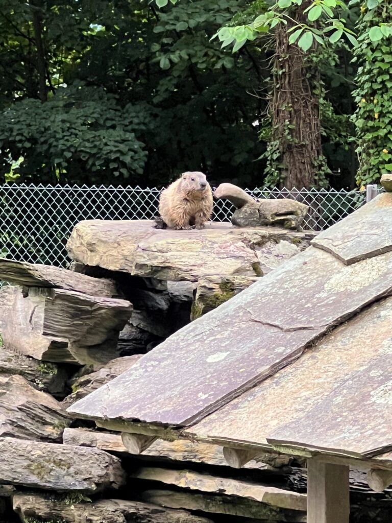 Zoológico Interlaken