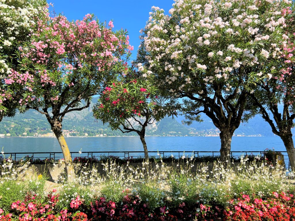 Bellagio Lago di Como