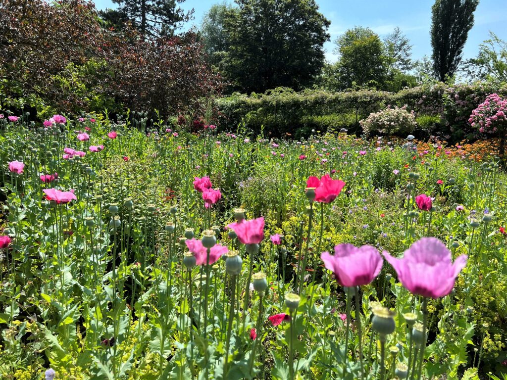 Jardins de Monet Giverny